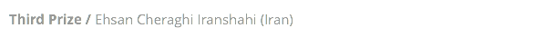 Third Prize / Ehsan Cheraghi Iranshahi (Iran)