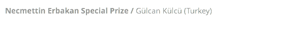 Necmettin Erbakan Special Prize / Gülcan Külcü (Turkey)
